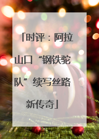时评：阿拉山口“钢铁驼队”续写丝路新传奇