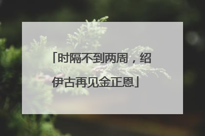 时隔不到两周，绍伊古再见金正恩