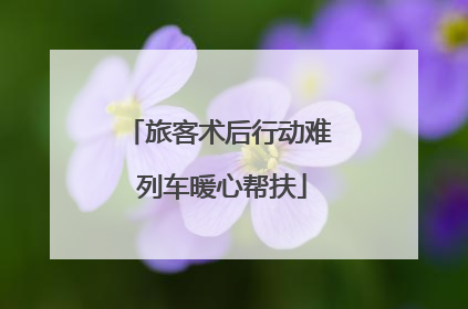 旅客术后行动难 列车暖心帮扶