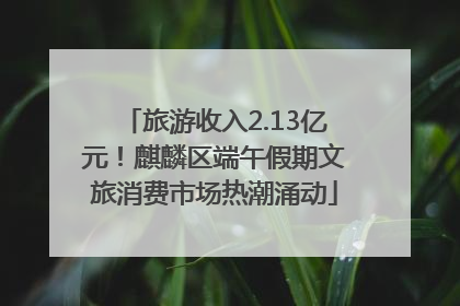 旅游收入2.13亿元！麒麟区端午假期文旅消费市场热潮涌动