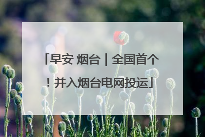 早安 烟台｜全国首个！并入烟台电网投运