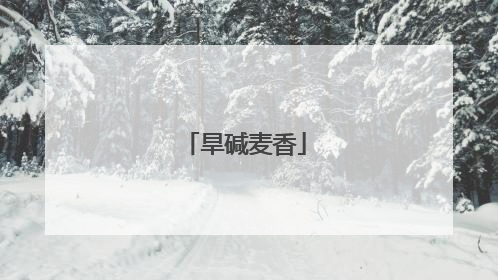 旱碱麦香