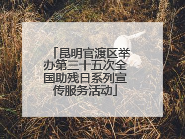 昆明官渡区举办第三十五次全国助残日系列宣传服务活动
