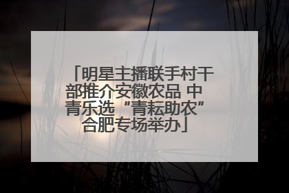 明星主播联手村干部推介安徽农品 中青乐选“青耘助农”合肥专场举办