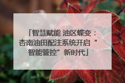 智慧赋能 油区蝶变：杏南油田配注系统开启“智能管控”新时代
