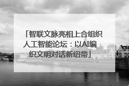 智联文脉亮相上合组织人工智能论坛：以AI编织文明对话新纽带