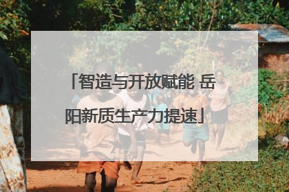 智造与开放赋能 岳阳新质生产力提速