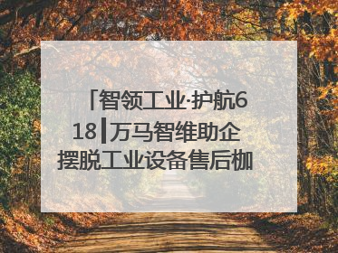 智领工业·护航618┃万马智维助企摆脱工业设备售后枷锁，实现服务与效能价值共振！