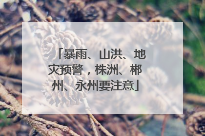 暴雨、山洪、地灾预警，株洲、郴州、永州要注意