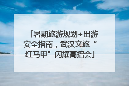 暑期旅游规划+出游安全指南，武汉文旅“红马甲”闪耀高招会