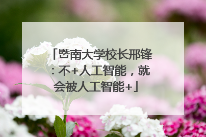 暨南大学校长邢锋：不+人工智能，就会被人工智能+