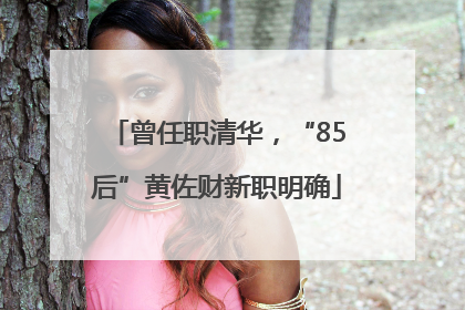 曾任职清华，“85后”黄佐财新职明确