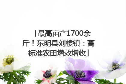 最高亩产1700余斤！东明县刘楼镇：高标准农田增效增收