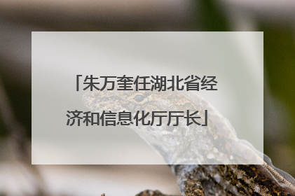 朱万奎任湖北省经济和信息化厅厅长