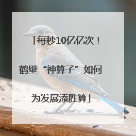 每秒10亿亿次！鹤壁“神算子”如何为发展添胜算