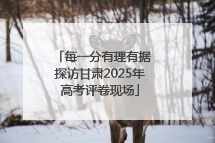 每一分有理有据 探访甘肃2025年高考评卷现场