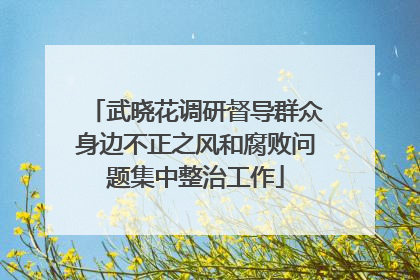 武晓花调研督导群众身边不正之风和腐败问题集中整治工作