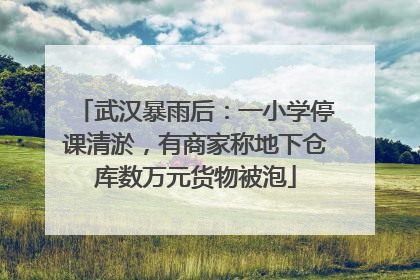 武汉暴雨后：一小学停课清淤，有商家称地下仓库数万元货物被泡