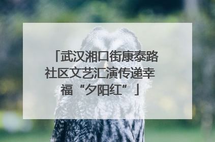 武汉湘口街康泰路社区文艺汇演传递幸福“夕阳红”