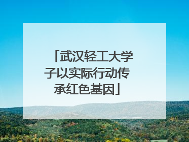 武汉轻工大学子以实际行动传承红色基因