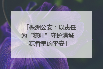 株洲公安：以责任为“粽叶”守护满城粽香里的平安