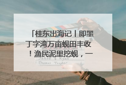 桂东出海记丨即墨丁字湾万亩蚬田丰收！渔民泥里挖蚬，一天上岸过千斤