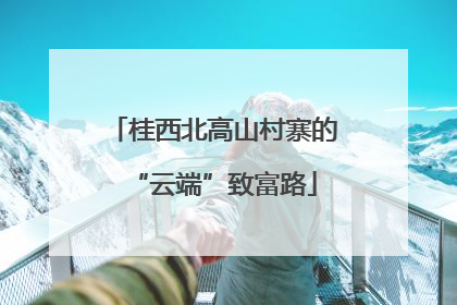 桂西北高山村寨的“云端”致富路