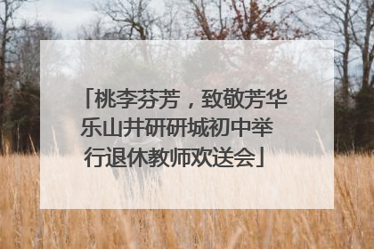 桃李芬芳，致敬芳华 乐山井研研城初中举行退休教师欢送会