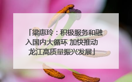 梁惠玲：积极服务和融入国内大循环 加快推动龙江高质量振兴发展