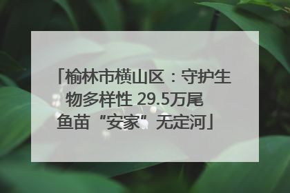 榆林市横山区：守护生物多样性 29.5万尾鱼苗“安家”无定河