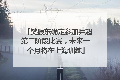樊振东确定参加乒超第二阶段比赛，未来一个月将在上海训练
