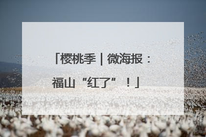 樱桃季｜微海报：福山“红了”！