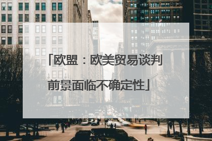 欧盟：欧美贸易谈判前景面临不确定性