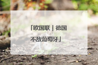欧国联｜德国不敌葡萄牙