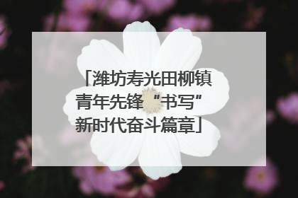 潍坊寿光田柳镇青年先锋“书写”新时代奋斗篇章