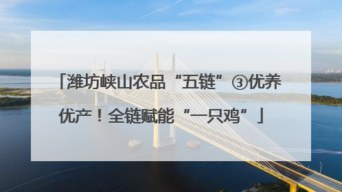 潍坊峡山农品“五链”③优养优产！全链赋能“一只鸡”