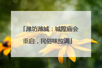 潍坊潍城：城隍庙会重启，民俗味拉满