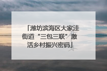 潍坊滨海区大家洼街道“三包三联”激活乡村振兴密码