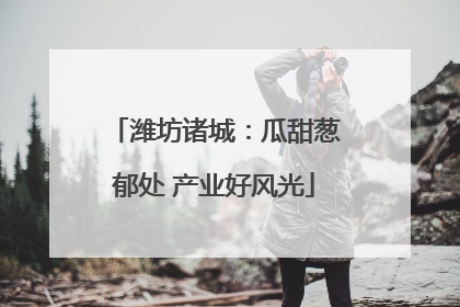 潍坊诸城：瓜甜葱郁处 产业好风光