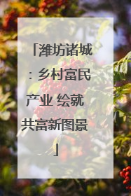 潍坊诸城：乡村富民产业 绘就共富新图景