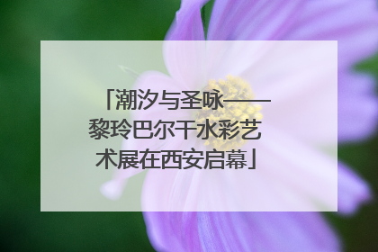 潮汐与圣咏——黎玲巴尔干水彩艺术展在西安启幕