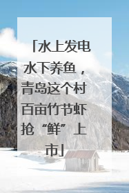 水上发电水下养鱼，青岛这个村百亩竹节虾抢“鲜”上市
