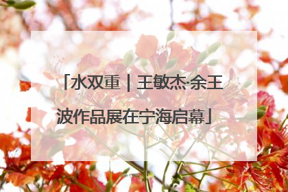 水双重｜王敏杰·余王波作品展在宁海启幕