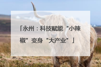 永州：科技赋能“小辣椒”变身“大产业”