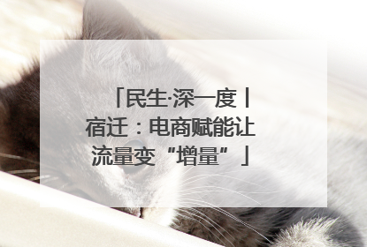 民生·深一度丨宿迁：电商赋能让流量变“增量”