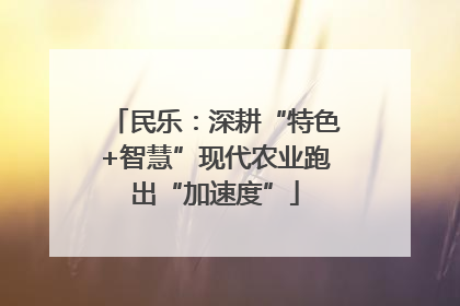 民乐：深耕“特色+智慧”现代农业跑出“加速度”