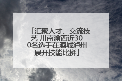汇聚人才、交流技艺 川南渝西近300名选手在酒城泸州展开技能比拼