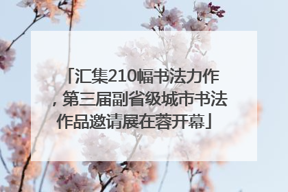 汇集210幅书法力作，第三届副省级城市书法作品邀请展在蓉开幕