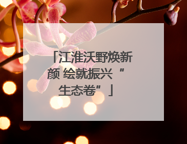 江淮沃野焕新颜 绘就振兴“生态卷”