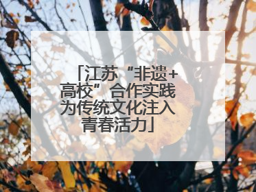 江苏“非遗+高校”合作实践为传统文化注入青春活力